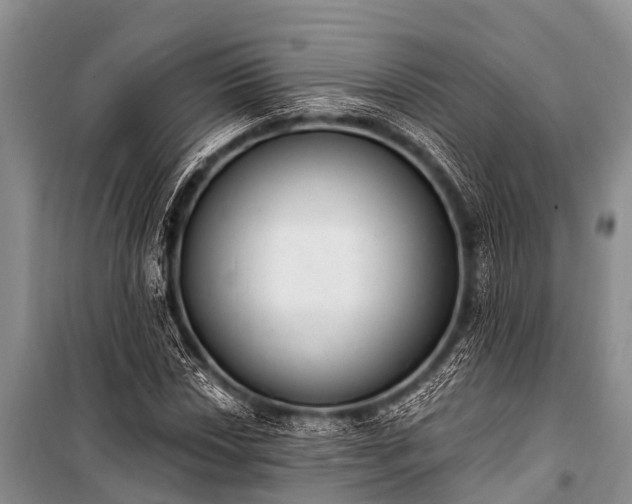 X0000100961018200807011327
