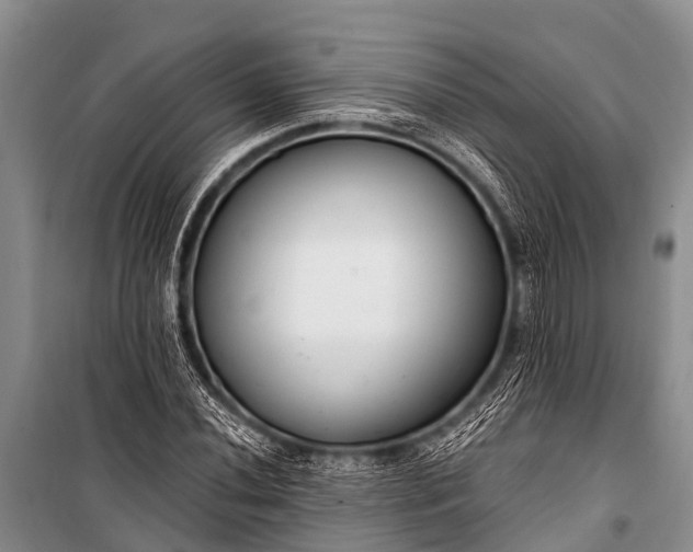 X0000100961020200807011327