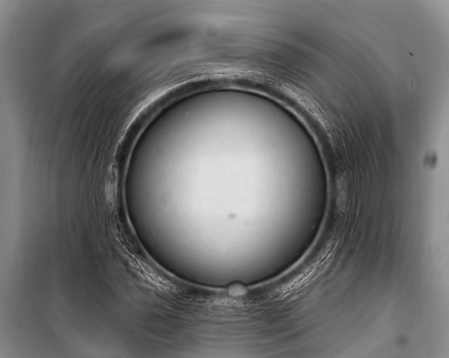 X0000100961021200807011327