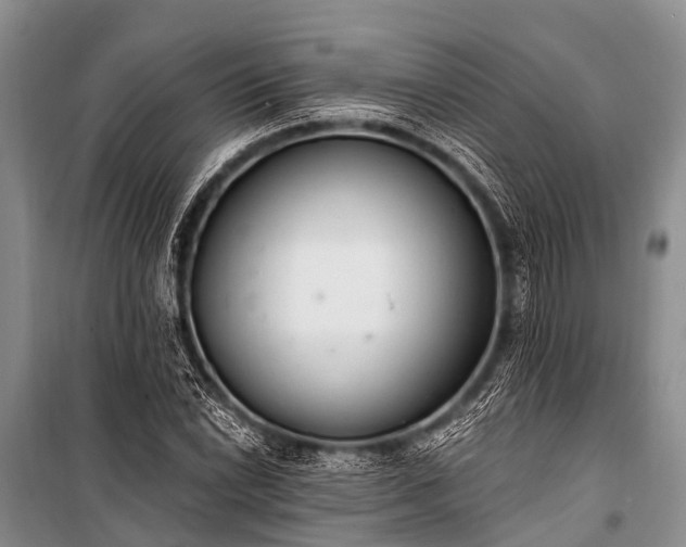 X0000100961022200807011327