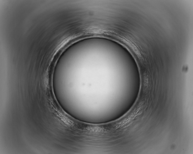 X0000100961023200807011327