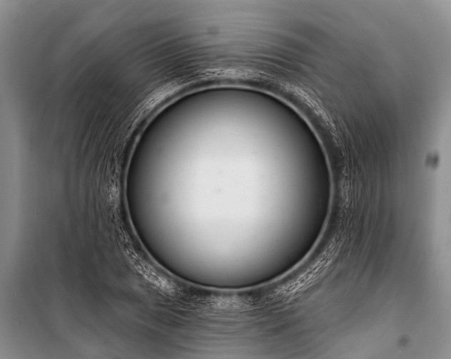 X0000100961025200807011327