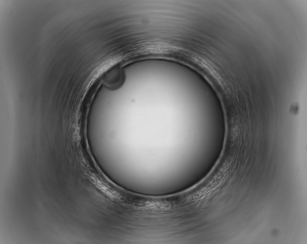 X0000100961026200807011327