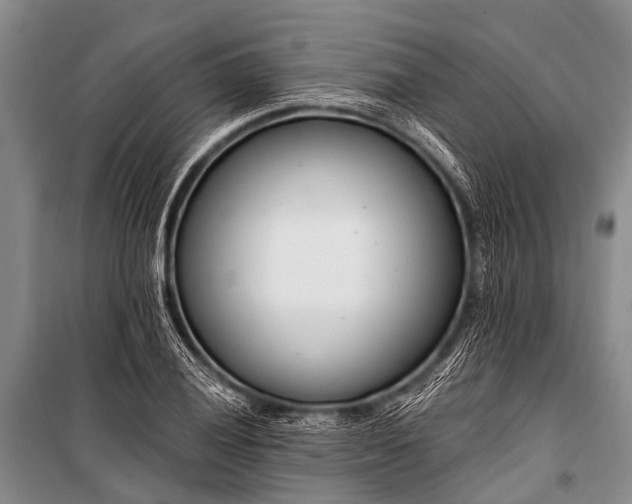 X0000100961028200807011327