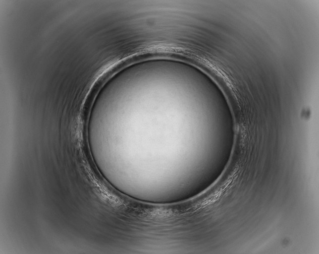 X0000100961029200807011327