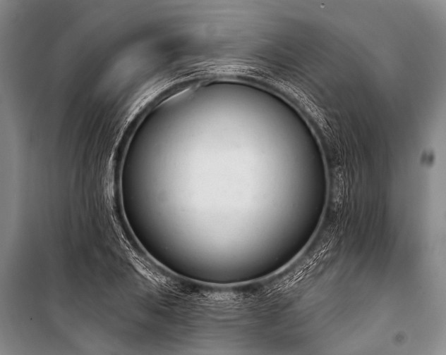 X0000100961031200807011327