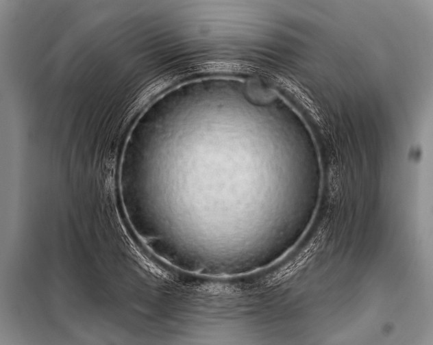 X0000100961033200807011327