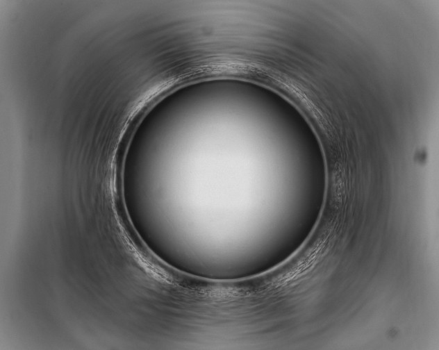 X0000100961034200807011327