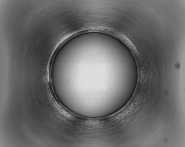 X0000100961036200807011327
