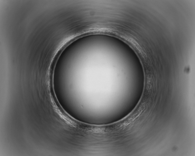 X0000100961038200807011327