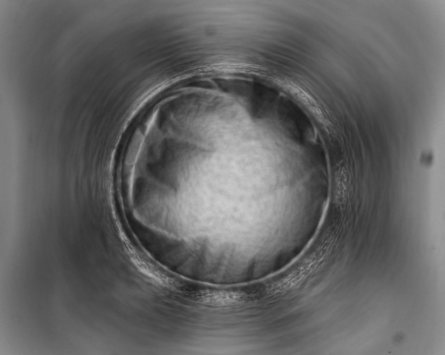 X0000100961039200807011327