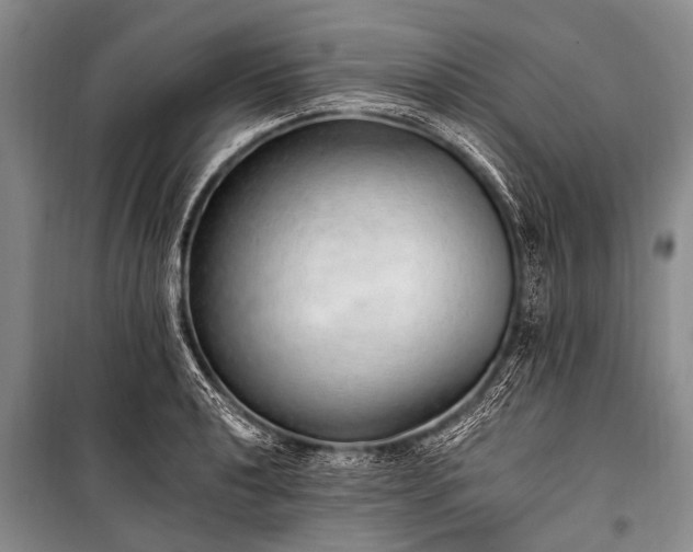 X0000100961040200807011327