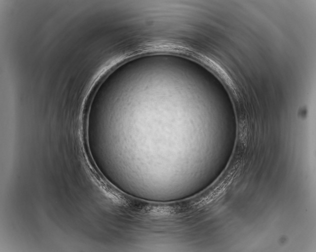 X0000100961043200807011327