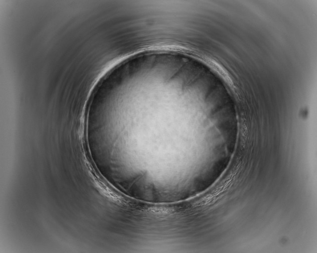 X0000100961044200807011327