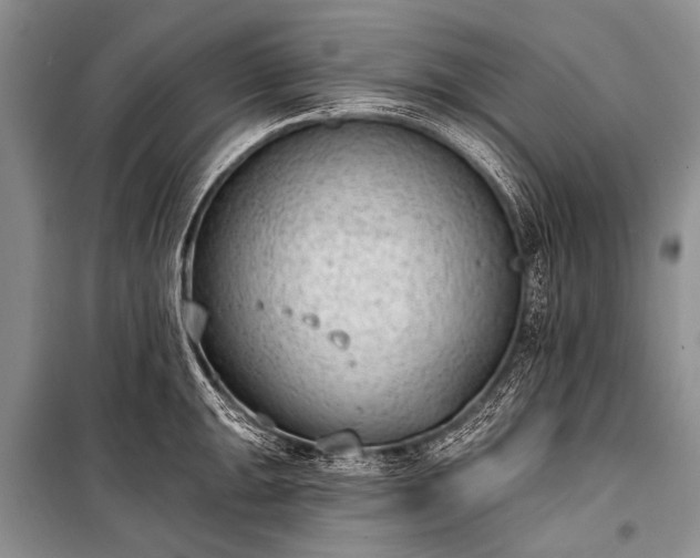 X0000100961047200807011327