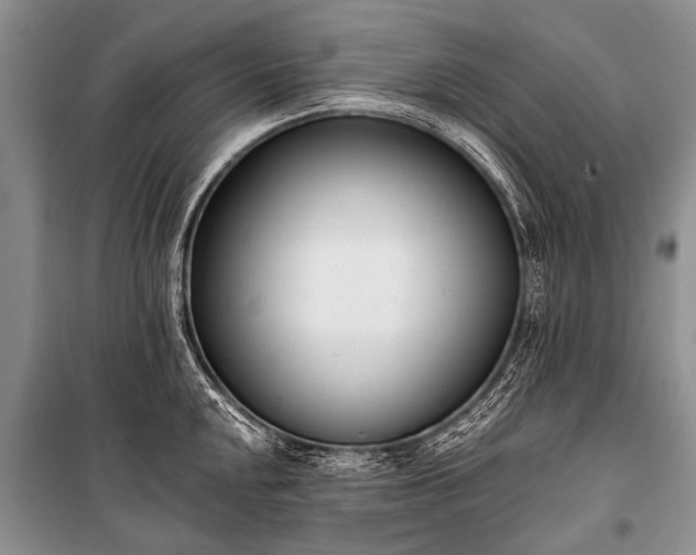 X0000100961048200807011327