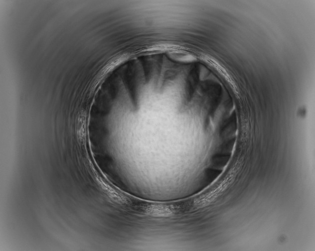 X0000100961049200807011327