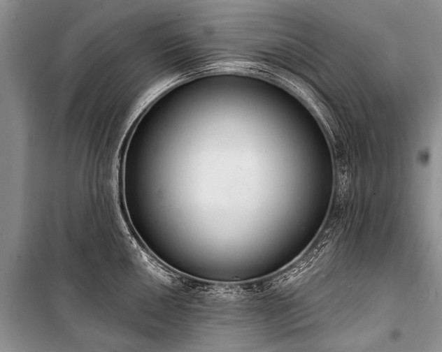 X0000100961050200807011327