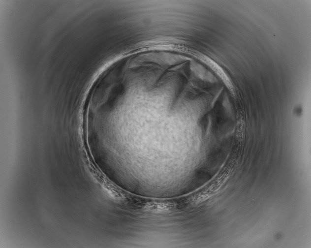X0000100961051200807011327