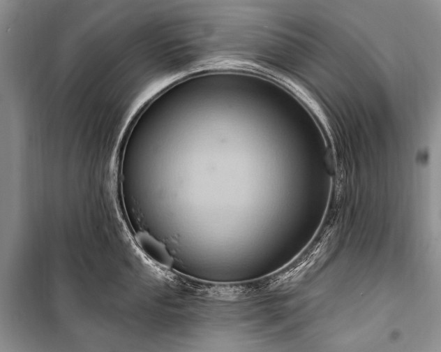 X0000100961053200807011327