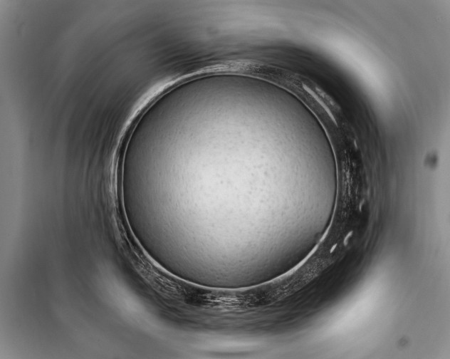 X0000100961054200807011328