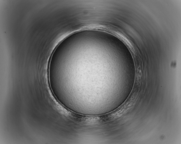 X0000100961055200807011328