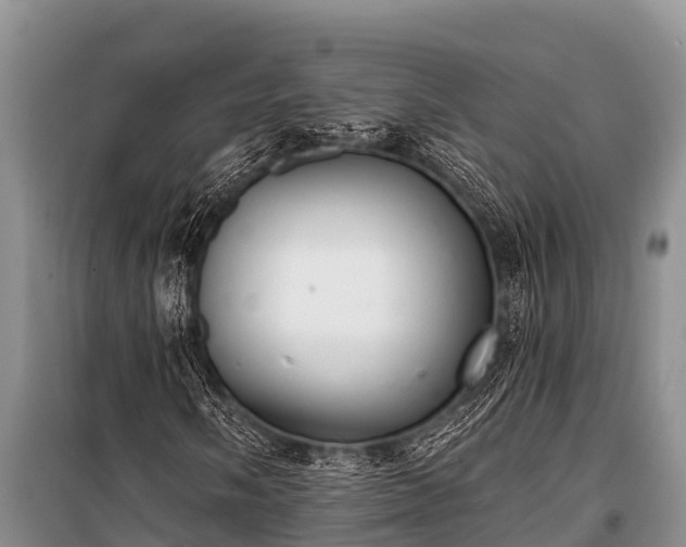 X0000100961058200807011327