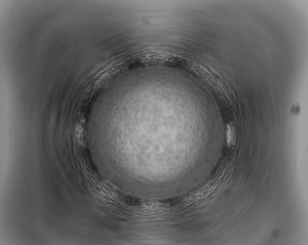 X0000100961059200807011327