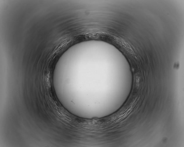X0000100961060200807011327