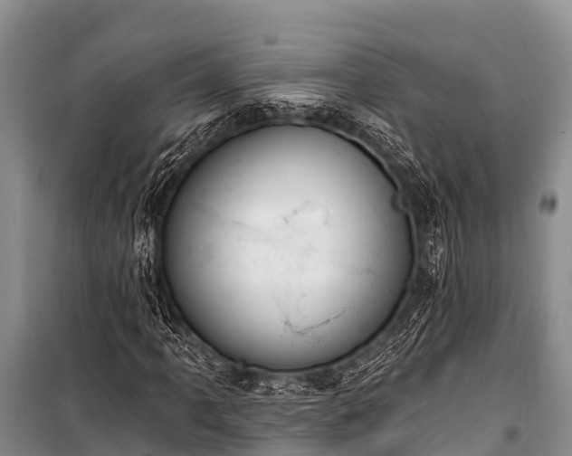 X0000100961061200807011327