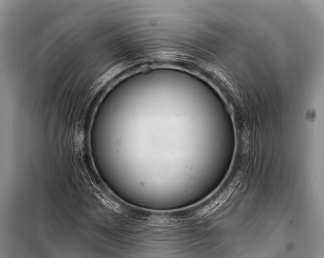 X0000100961065200807011327