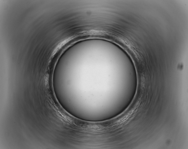 X0000100961066200807011327