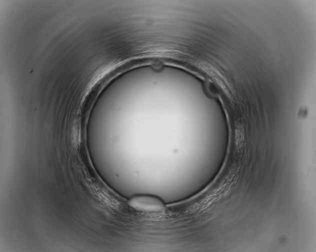 X0000100961069200807011327