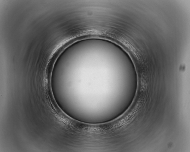 X0000100961070200807011327