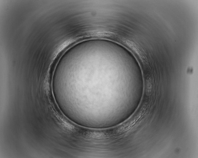 X0000100961071200807011327