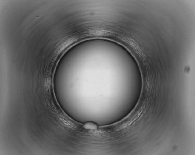 X0000100961073200807011327