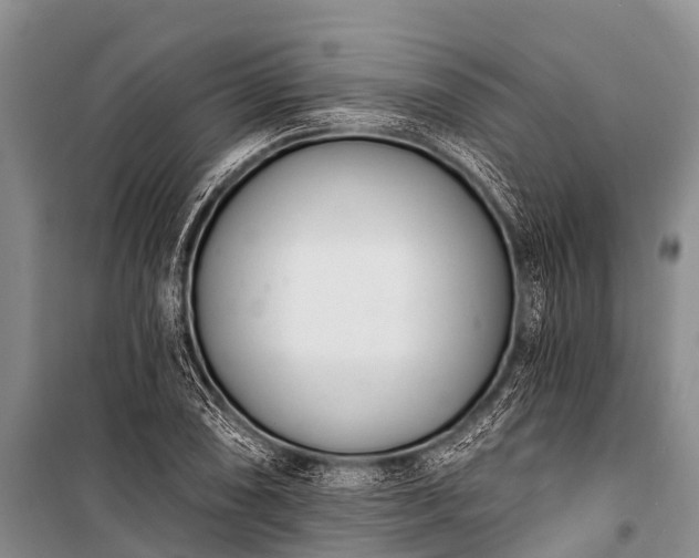 X0000100961074200807011327