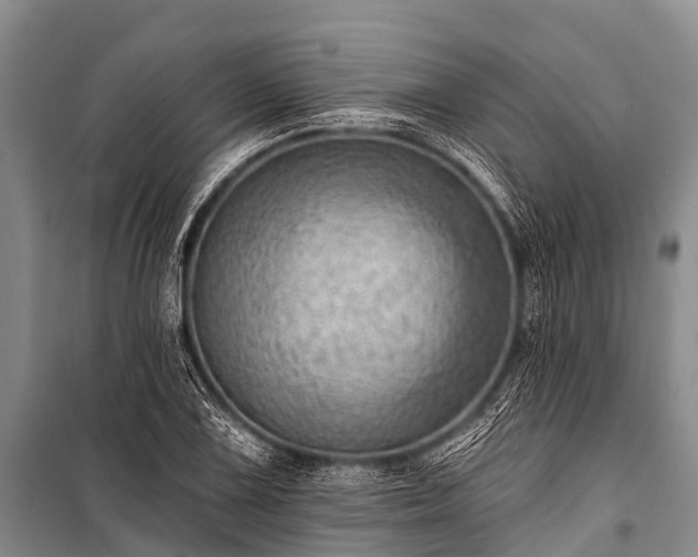 X0000100961075200807011327