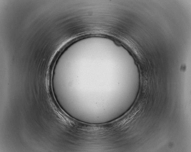 X0000100961076200807011327