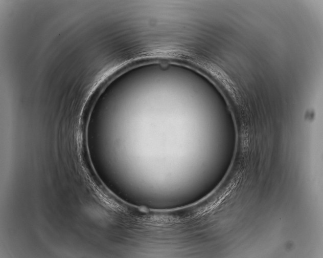 X0000100961077200807011327