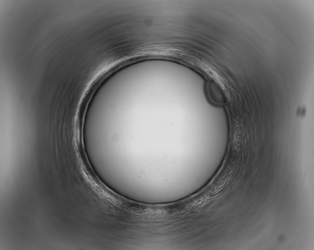 X0000100961080200807011326