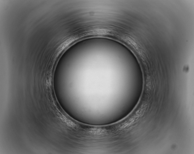 X0000100961081200807011326