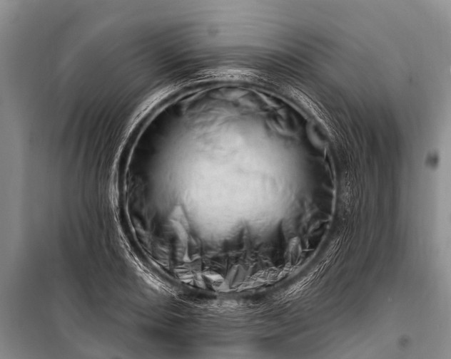 X0000100961082200807011326