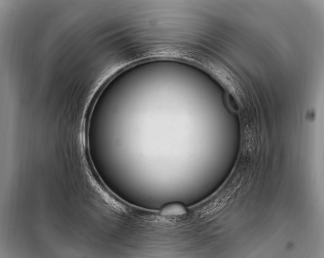 X0000100961084200807011326