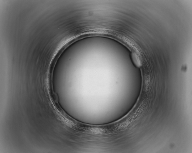 X0000100961085200807011326