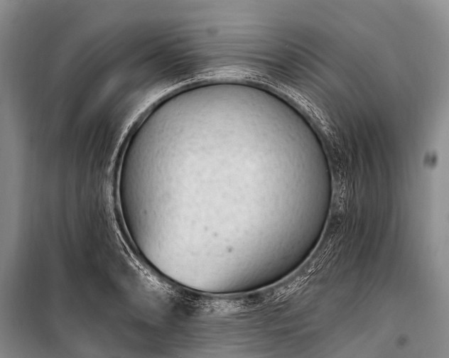 X0000100961086200807011326