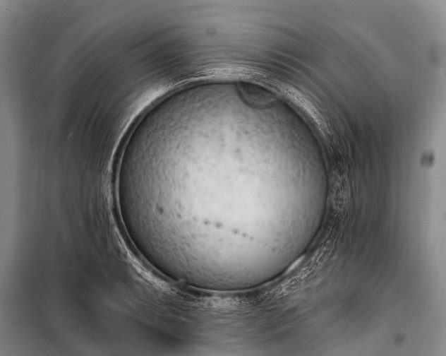 X0000100961087200807011326