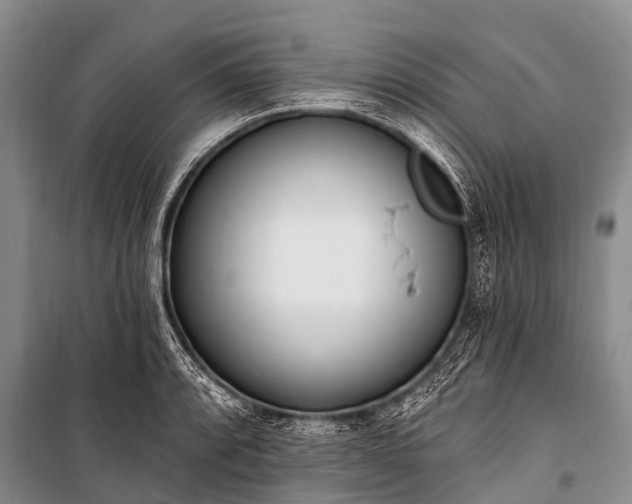 X0000100961088200807011326