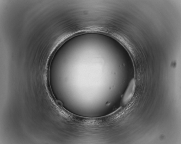 X0000100961093200807011326