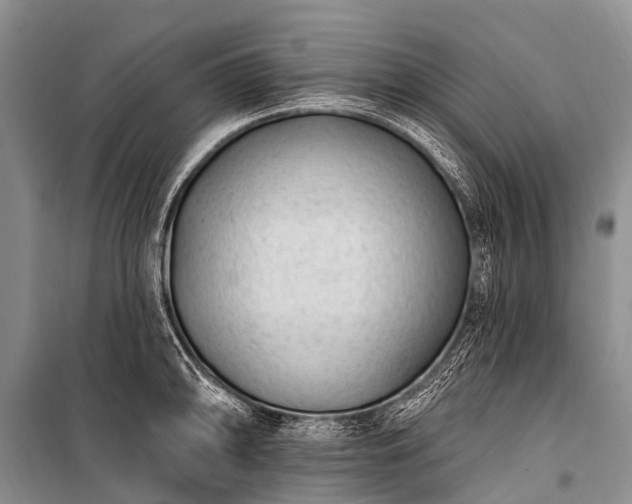X0000100961094200807011326